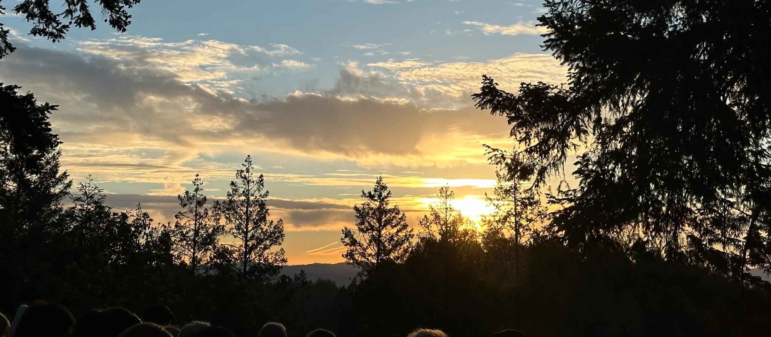 Sunset behind a forested landscape, with the sky filled with clouds and tree silhouettes in the foreground.