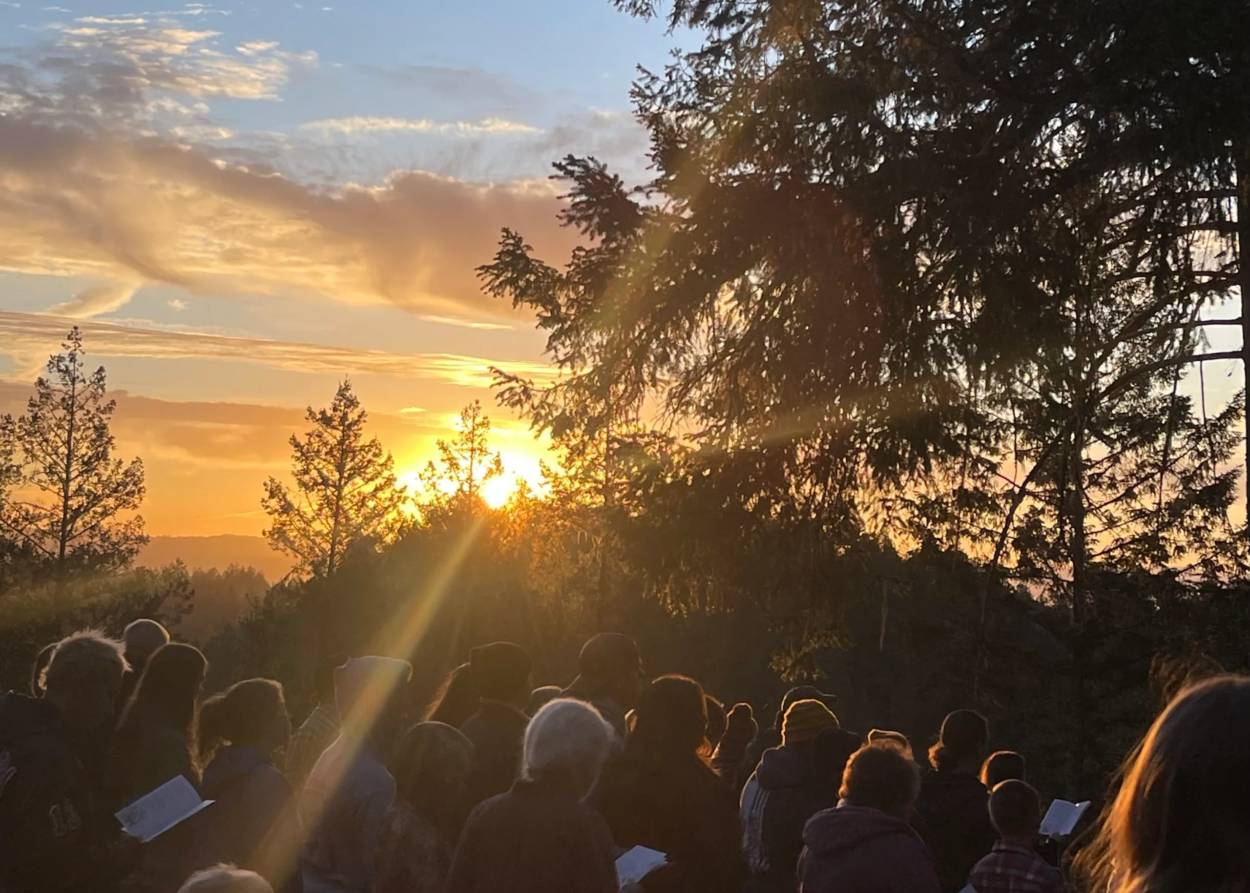 A group of people standing outdoors at sunset, surrounded by trees, with sunlight streaming through branches and illuminating the gathering.