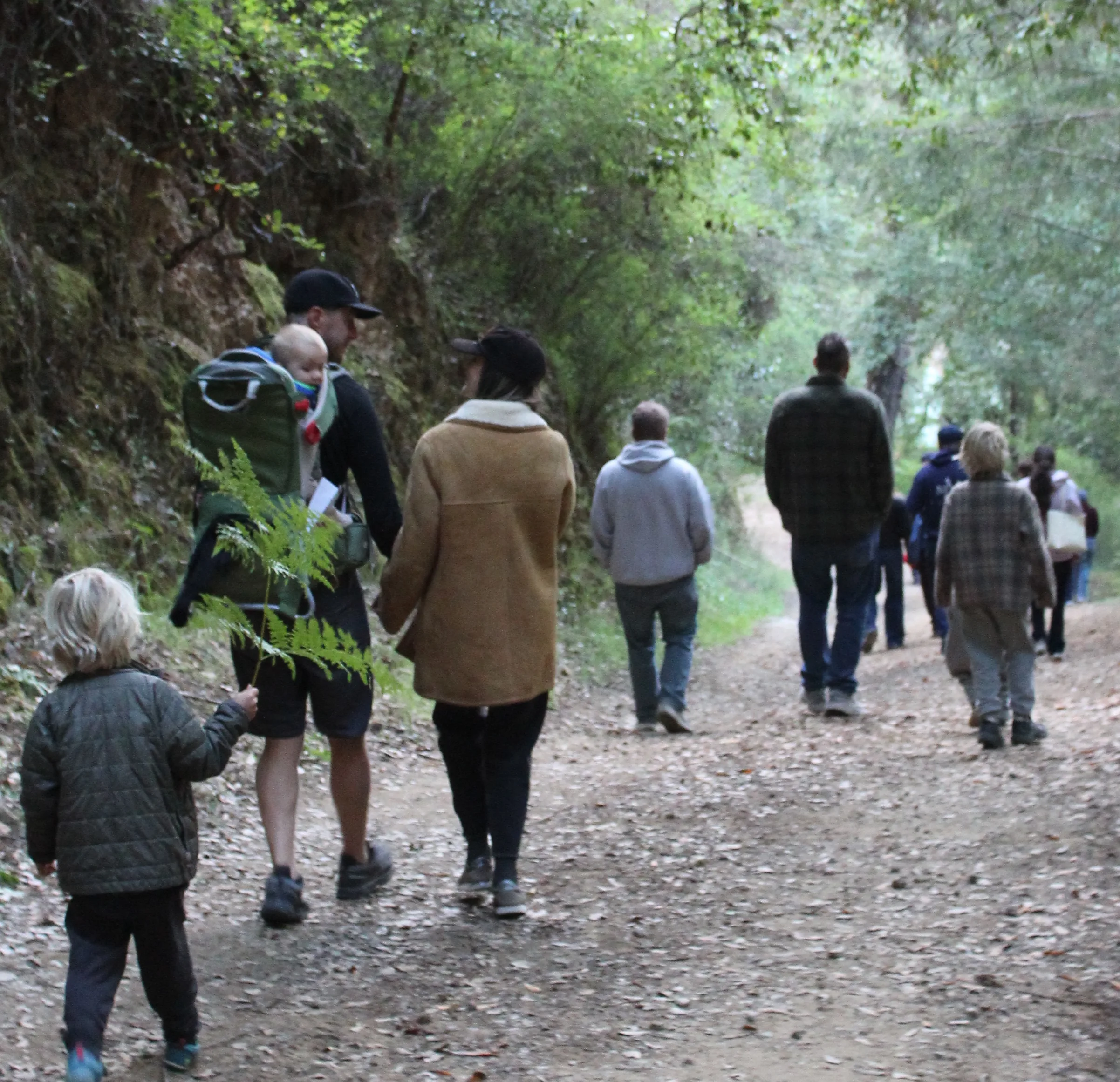 A group of people, including kids and adults, walk along a forest trail. A child carries a fern, and an adult carries a baby in a backpack carrier. The path is surrounded by trees and greenery.