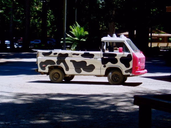 OLYMPUS DIGITAL CAMERA A van painted with a black and white cow pattern and a bright pink front is parked on a sunlit road with trees and buildings in the background.