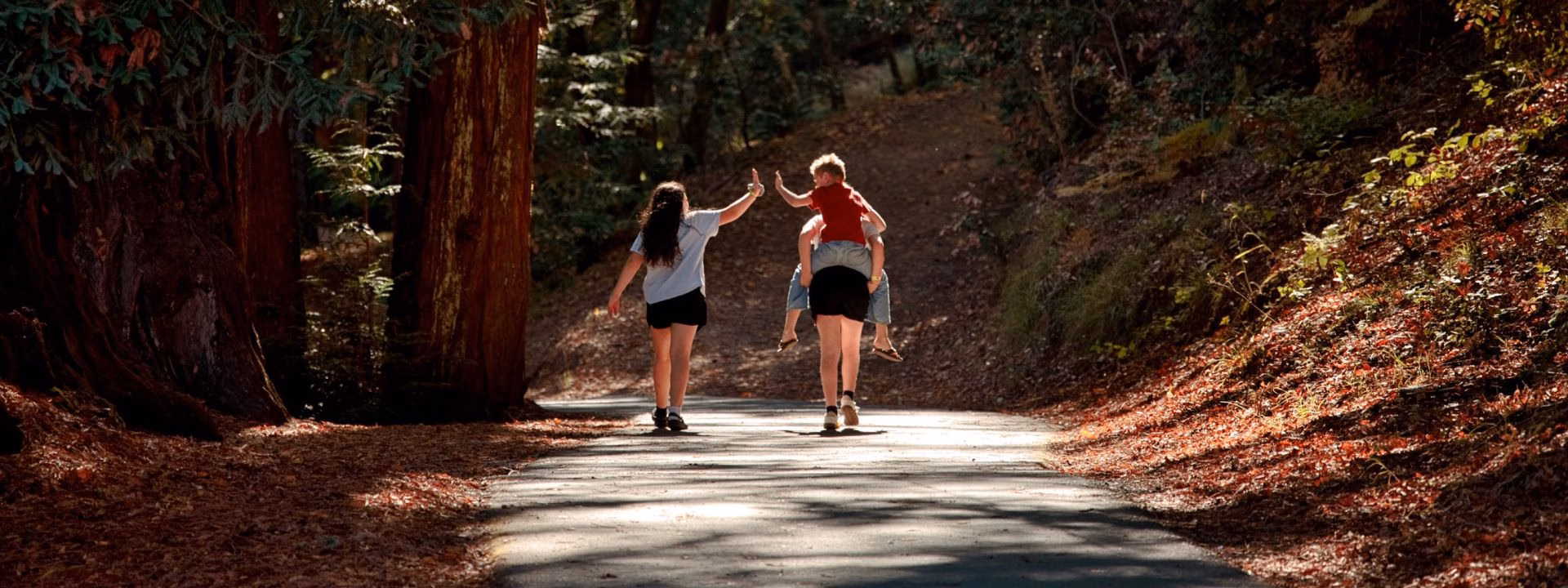 Guest Group Banner 2026 Three people walk on a sunlit forest path; one adult carries a child on their back while high-fiving another walking beside them. Trees and fallen leaves line the paved trail.