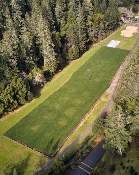 Aerial view of a rectangular grassy field surrounded by trees, with a road and some structures nearby. A single utility pole stands in the middle of the field.