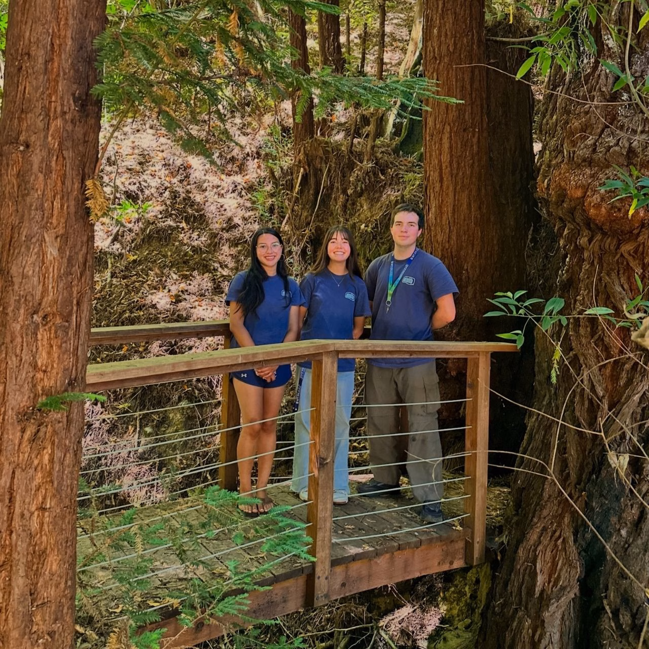Three people stand on a small wooden bridge surrounded by tall trees and greenery in a forest. They are posing for the photo, all wearing blue shirts, and smiling among the natural scenery.